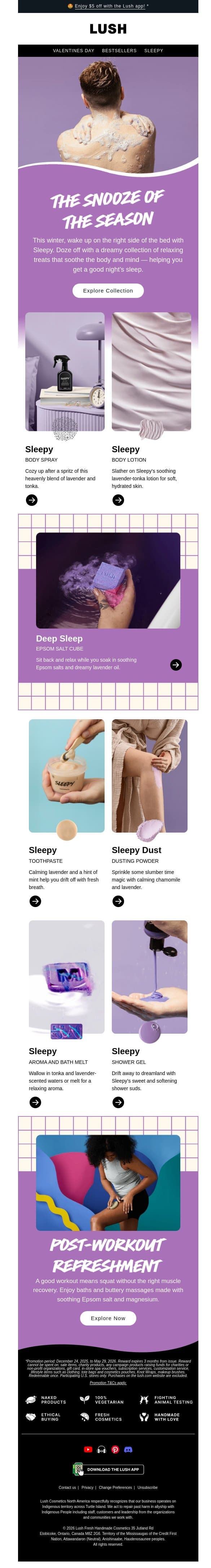 😴 Sleepy from head to toe email from Lush screenshot