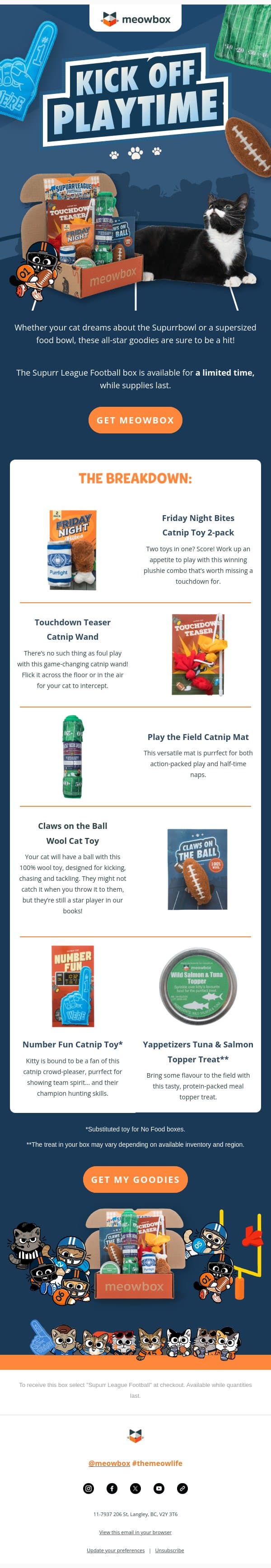 Football season is for cats too 🏈 email from MeowBox screenshot