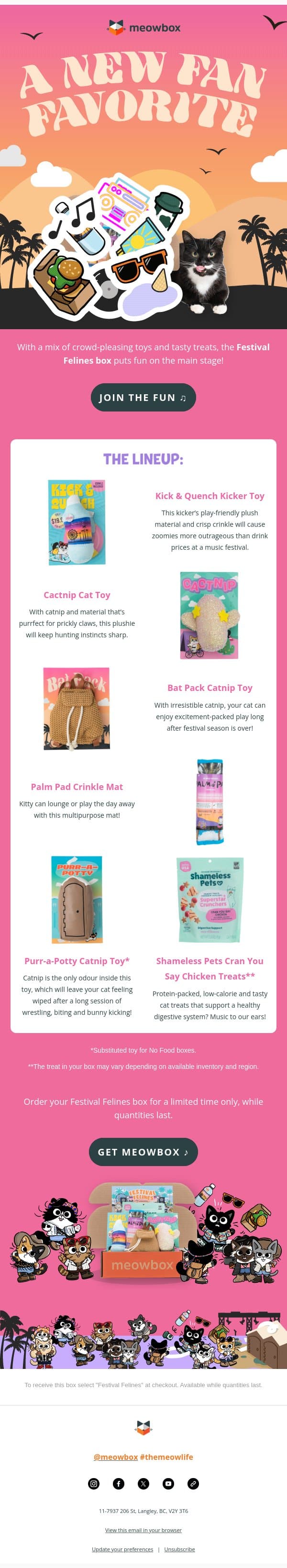 Your cat’s dream lineup of toys and treats 🎶 email from MeowBox screenshot