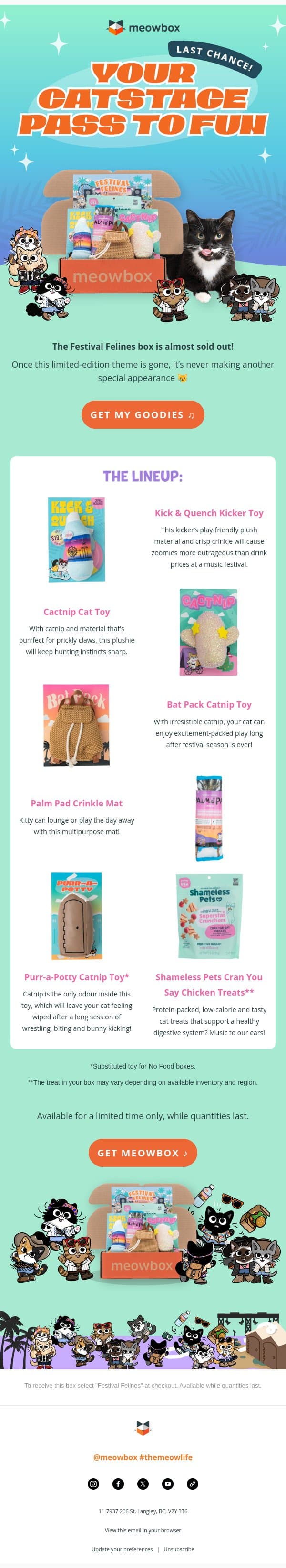Last call to order Festival Felines 🌵🎶🎡 email from MeowBox screenshot