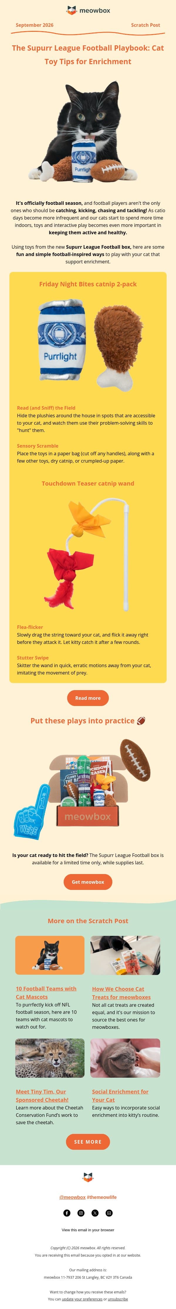 How to transform your cat into a star player 🌟 email from MeowBox screenshot
