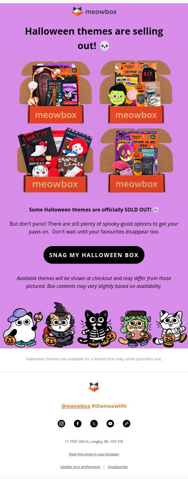 Halloween themes are officially selling out! 💀 email from MeowBox screenshot
