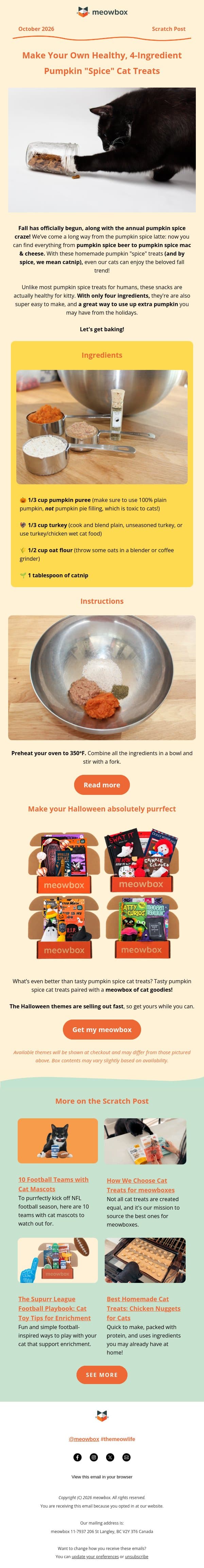 Homemade Pumpkin Treats, Just 4 Ingredients 🎃 email from MeowBox screenshot