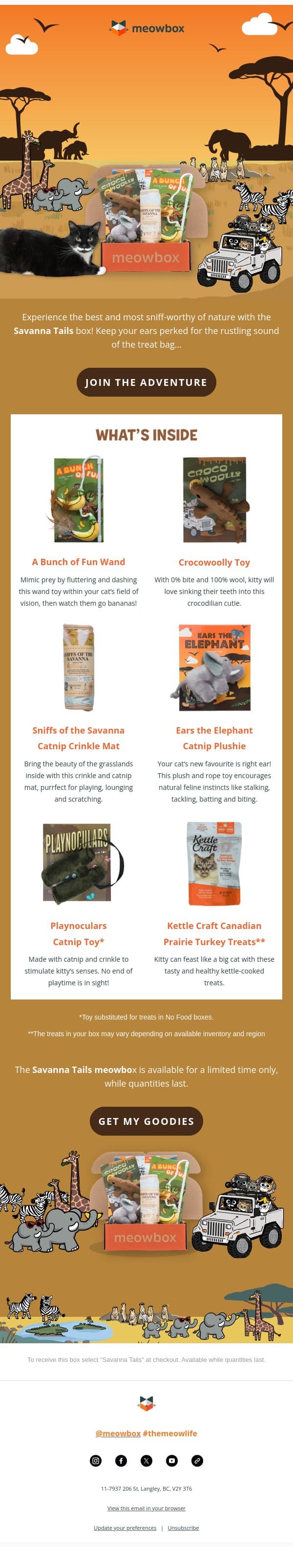 Last chance to join the safari adventure 🐘🦁 email from MeowBox screenshot