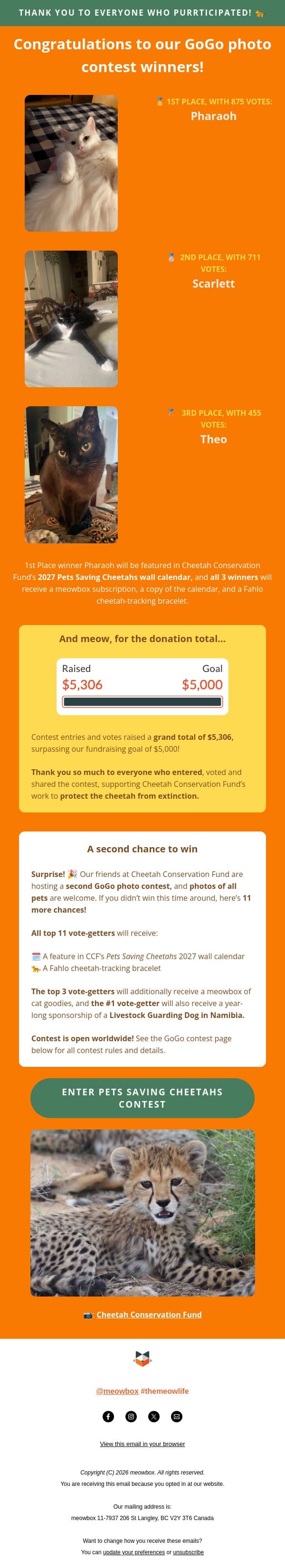 CAT PHOTO CONTEST WINNERS! Congrats to these 3 house cheetahs 🐆 email from MeowBox screenshot