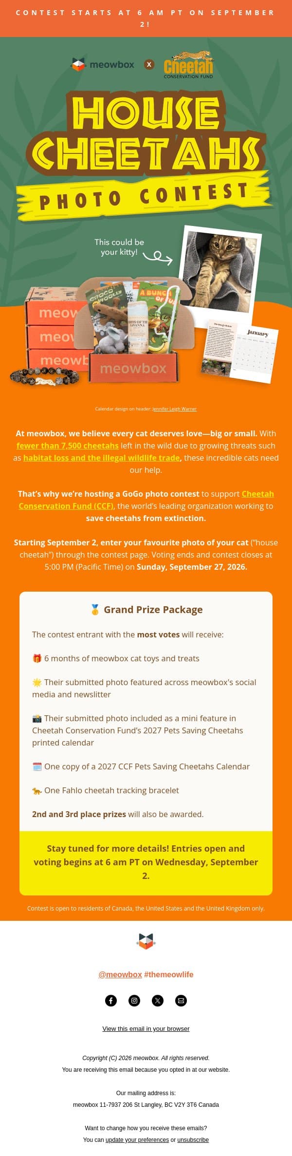Get your cat photos ready 📸 An exciting contest starts tomorrow! email from MeowBox screenshot