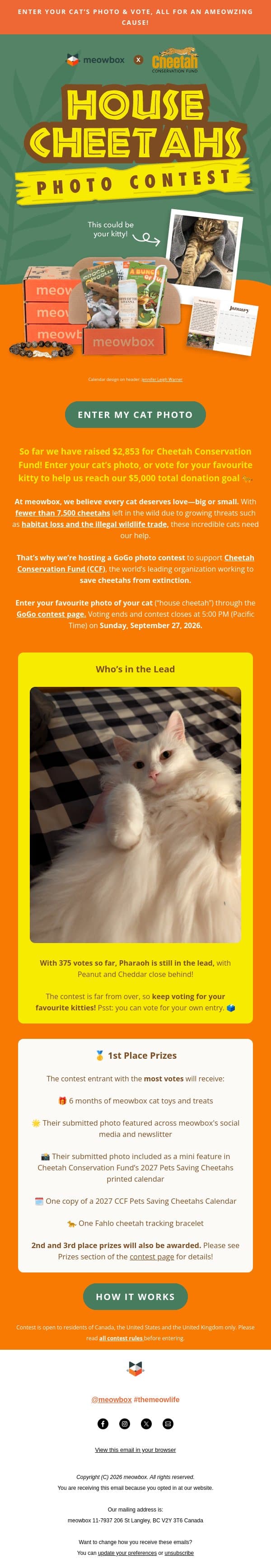 See who's in the lead of our cat photo contest 👀 email from MeowBox screenshot