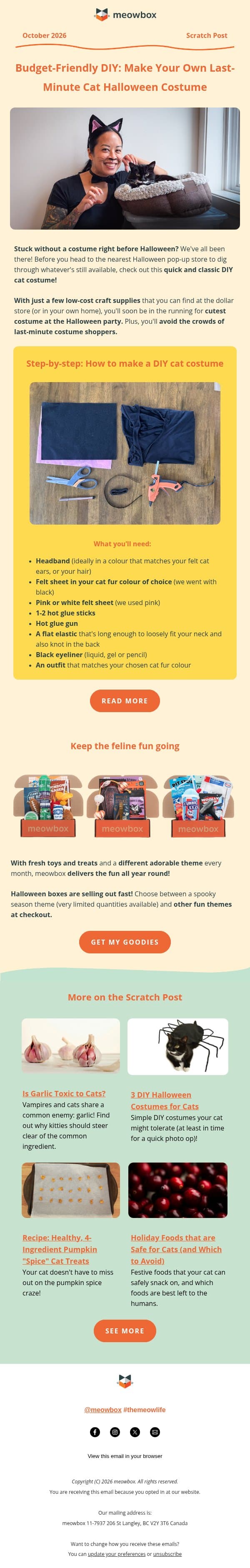 Need a last-minute costume? Look no further than this DIY! 🐈‍⬛ email from MeowBox screenshot