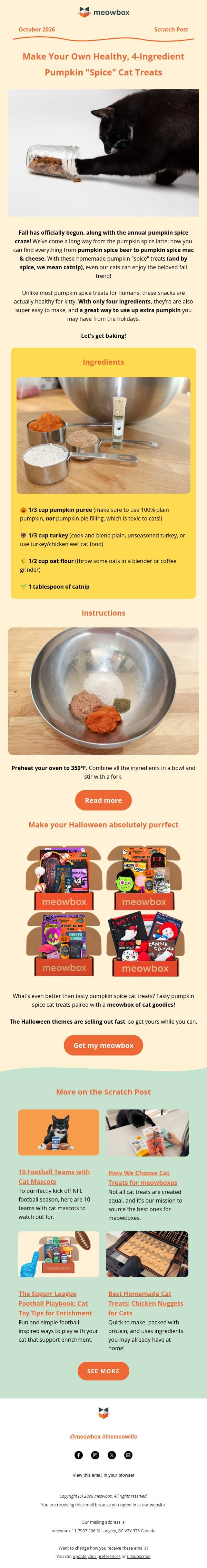 RECIPE: 4-ingredient pumpkin "spice" cat treats 🎃 email from MeowBox screenshot