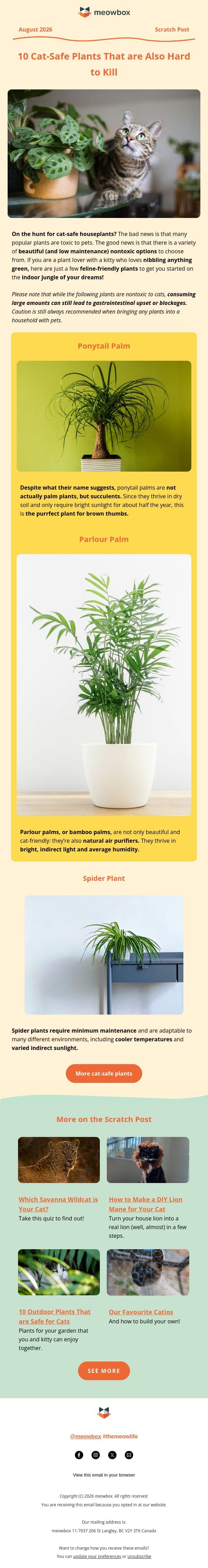 10 cat-safe houseplants for your indoor jungle 🪴 email from MeowBox screenshot