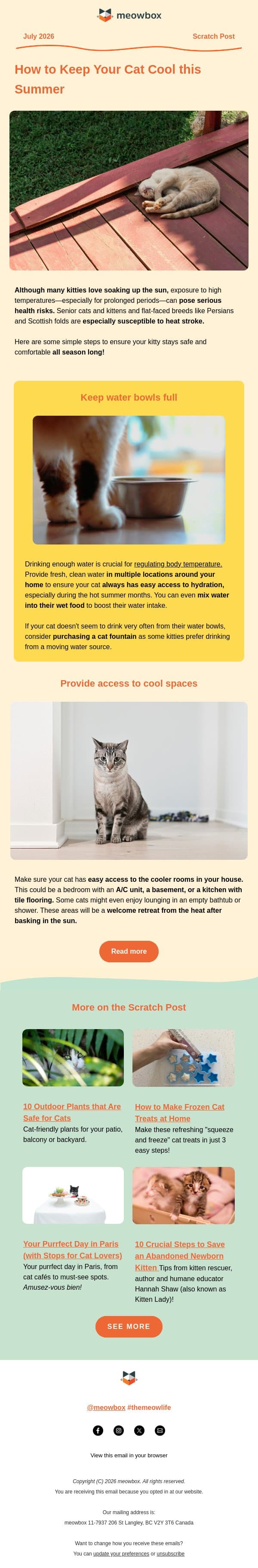☀️ Is your cat ready for the next heat wave? email from MeowBox screenshot