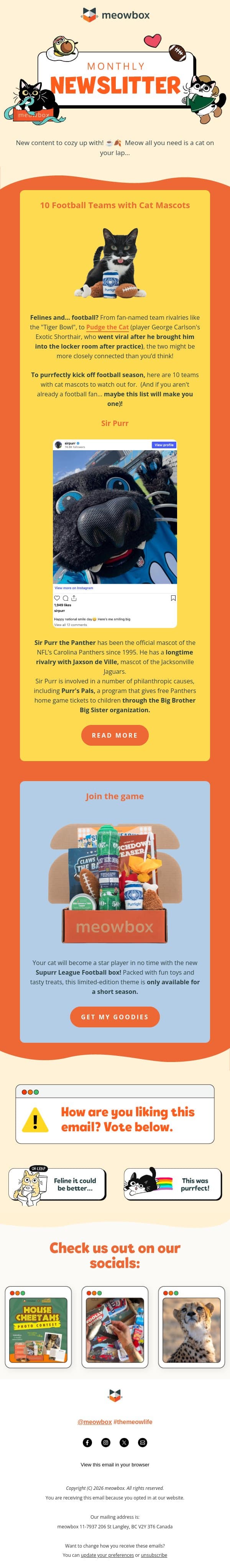 Cats on the football field??! 🏈 email from MeowBox screenshot