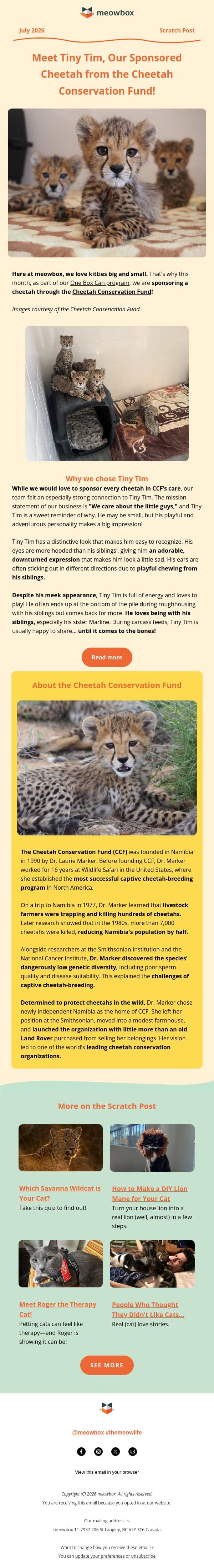 Meet Tiny Tim, our sponsored cheetah 🐆 🧡 email from MeowBox screenshot