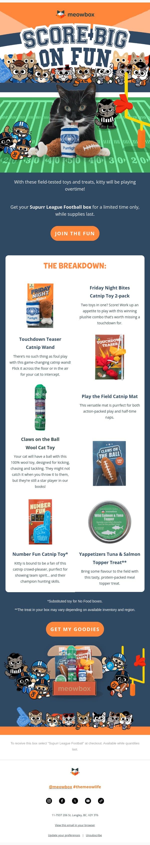 Your cat just made the starting lineup 🏈 email from MeowBox screenshot