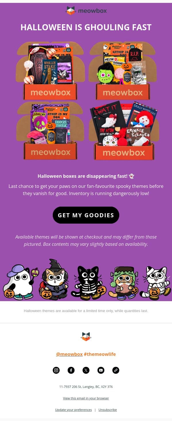LAST CHANCE to get a Halloween meowbox! 🎃 email from MeowBox screenshot