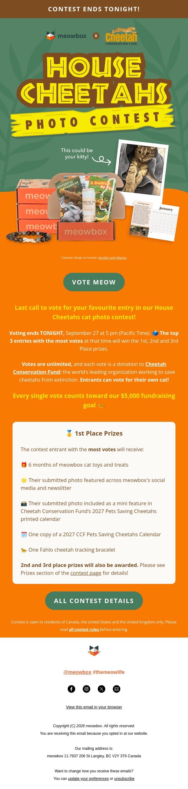House Cheetahs contest ends TONIGHT! Get your votes in 🗳️ email from MeowBox screenshot