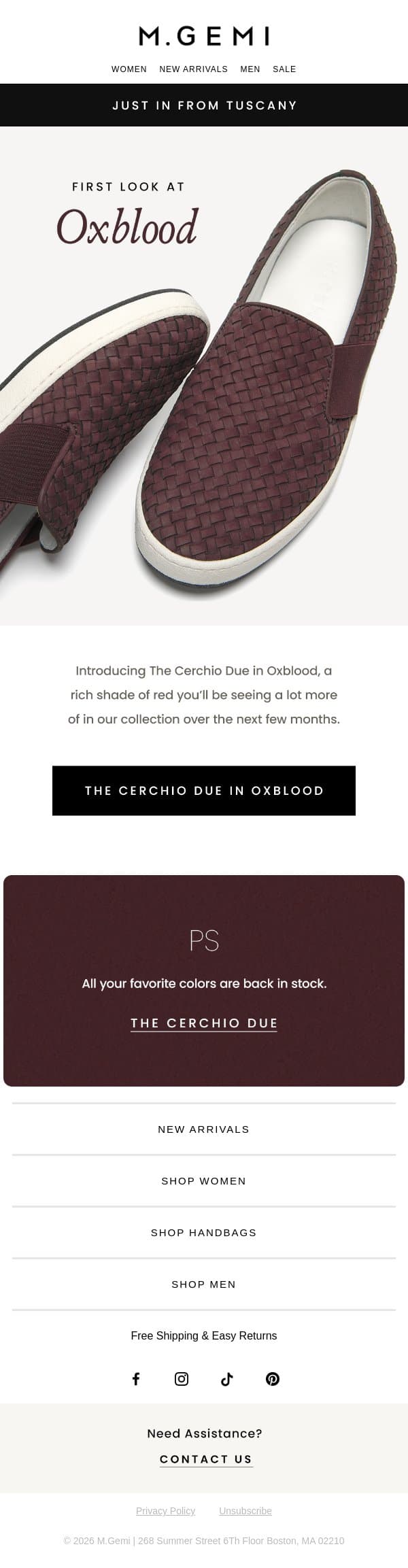 The Next IT Color email from M.Gemi screenshot