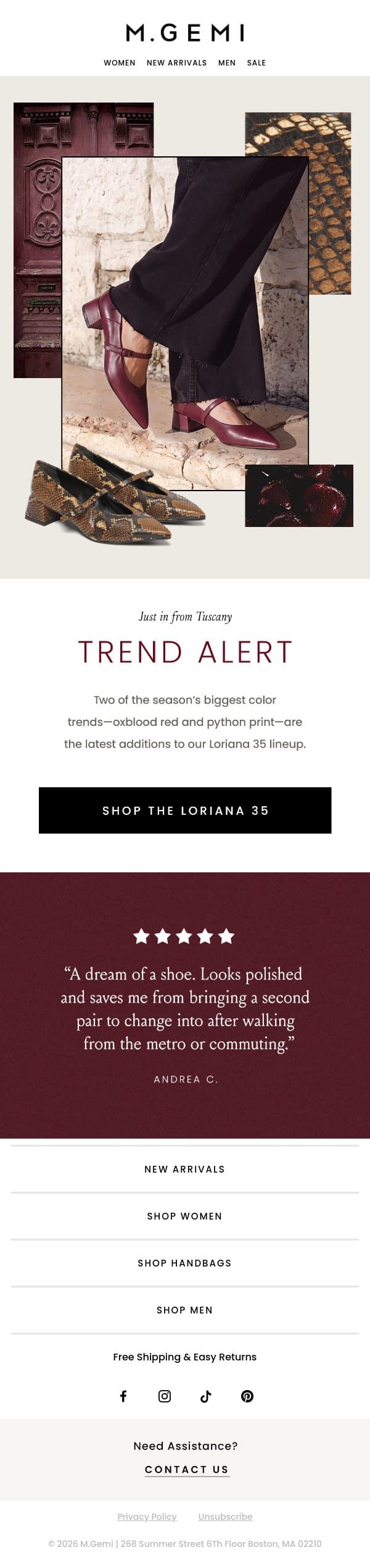NEW COLORS | The Loriana 35 email from M.Gemi screenshot