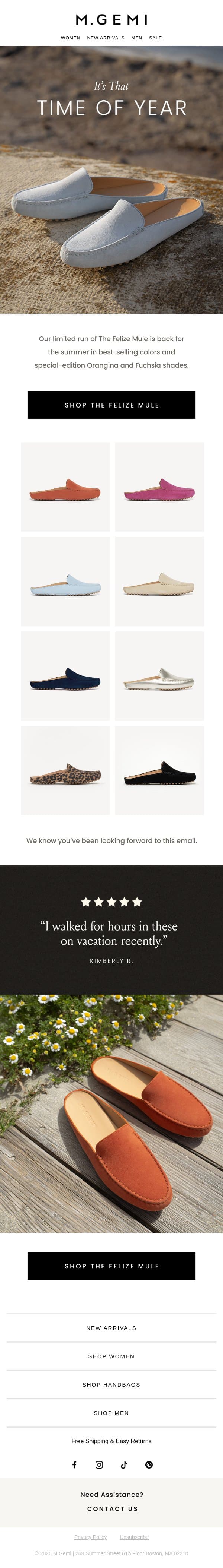 The Felize Mule Is Back! email from M.Gemi screenshot