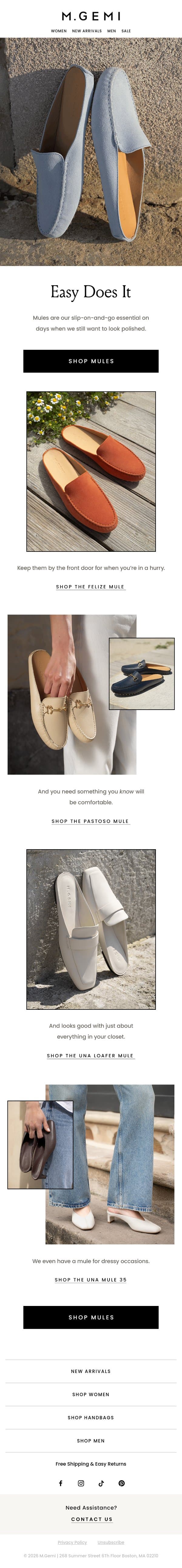 Mules Are Always A Good Idea email from M.Gemi screenshot