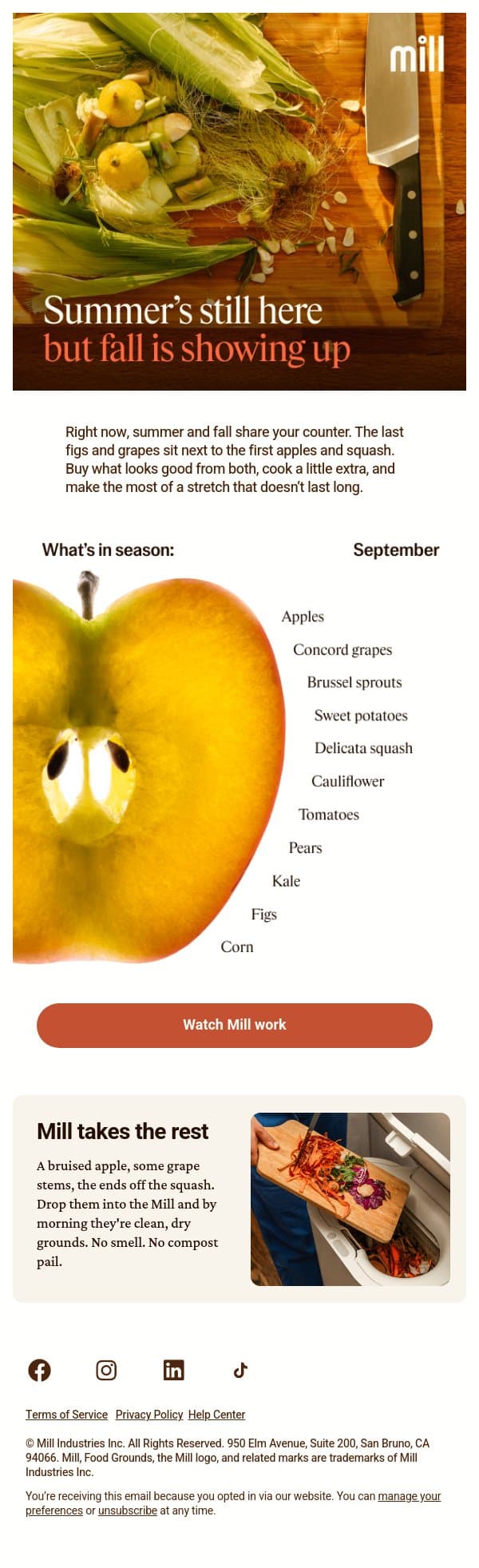 What’s in season 🍎🍇 email from Mill screenshot