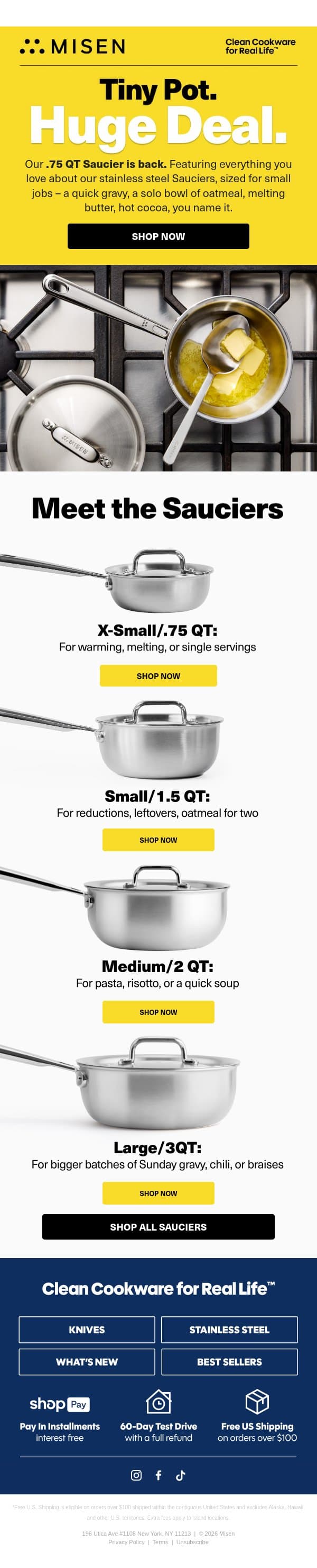 The Return of Our Mini Saucier! email from Misen screenshot