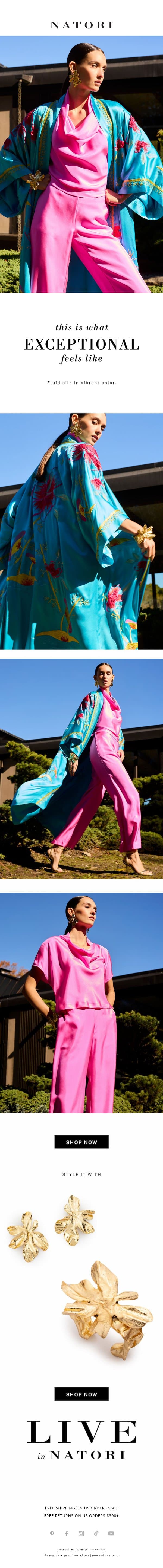 New Silk Layers email from Natori screenshot