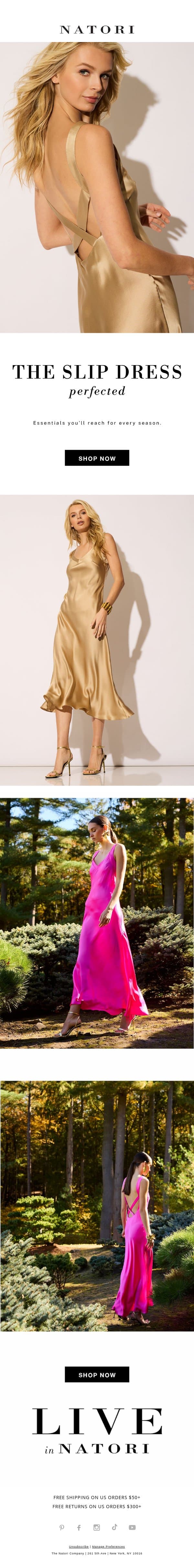 The Silk Slip Dress, Perfected email from Natori screenshot