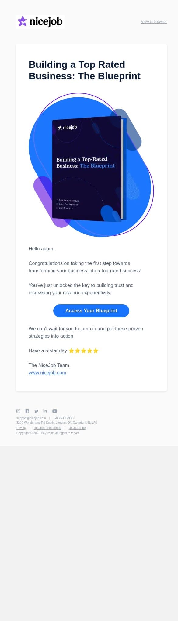 Your Blueprint Is Ready For Download 🚀 email from NiceJob screenshot