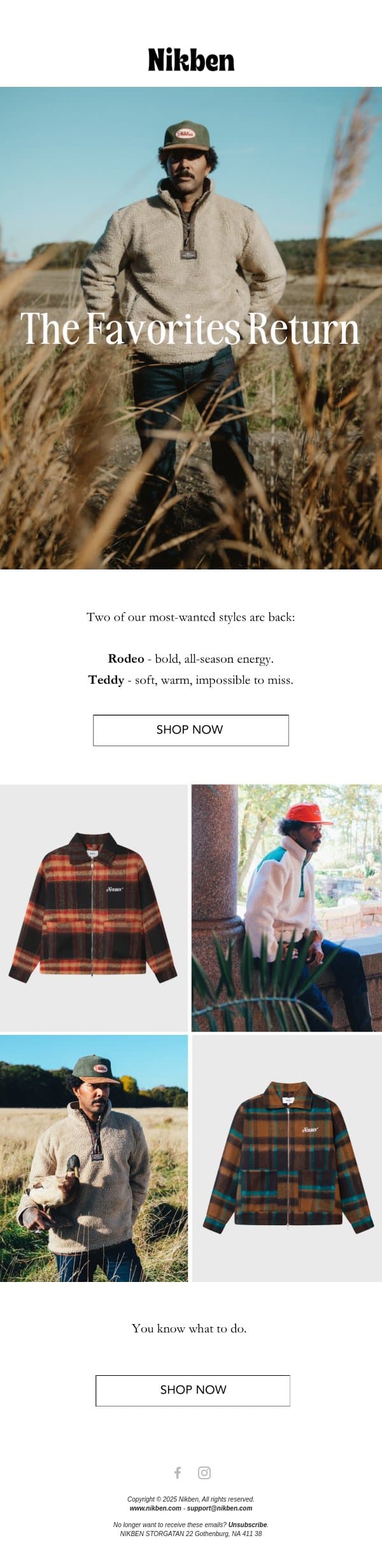 Rodeo & Teddy Are Back email from Nikben screenshot