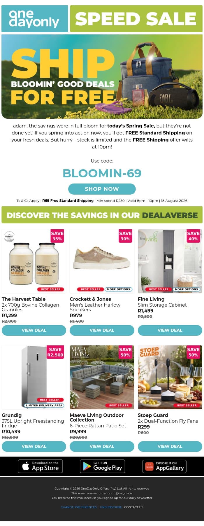 FREE Shipping to celebrate spring! 🌼 email from Odo screenshot