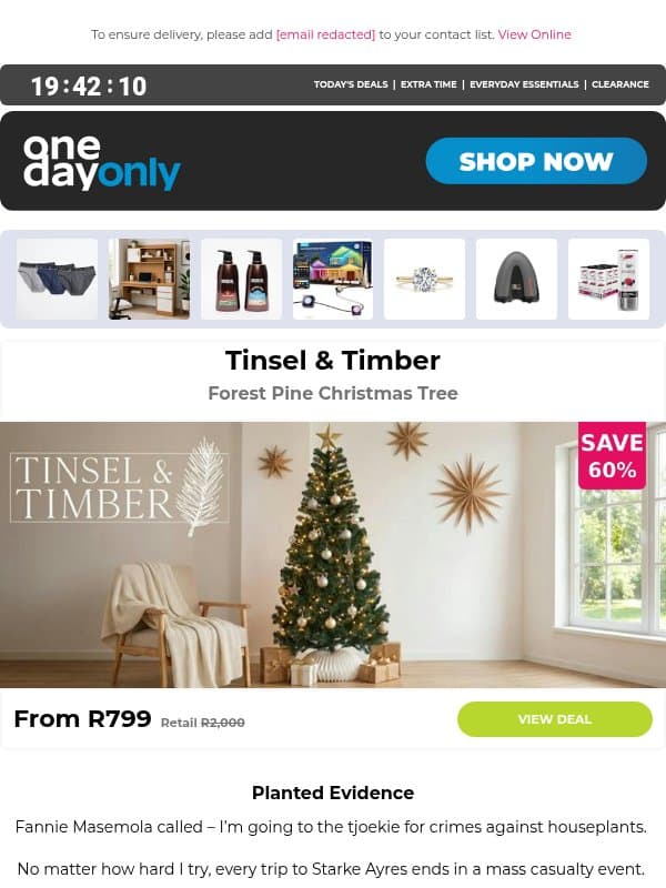 Up to 79% OFF? That’s festive 🌲 email from Odo