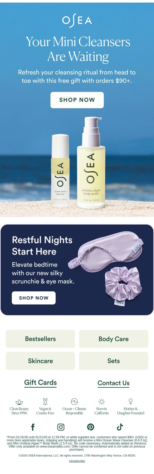 2 Free Gifts for Clean Skin email from OSEA screenshot