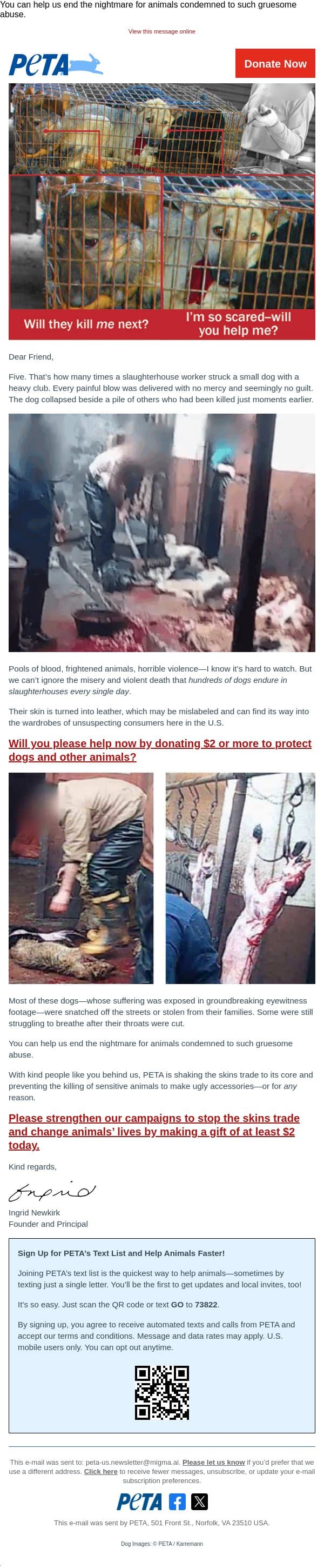 Dogs snatched off the street and killed email from PETA screenshot