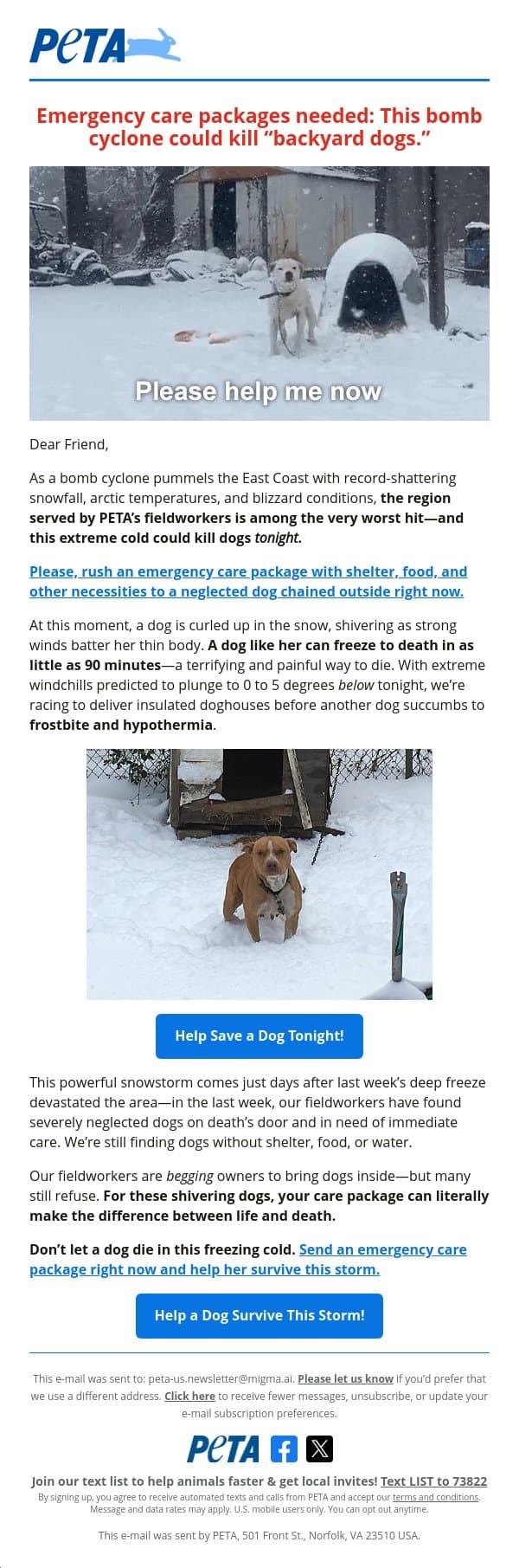 🆘 Polar vortex emergency: Don’t let a dog freeze to death 🆘 email from PETA screenshot