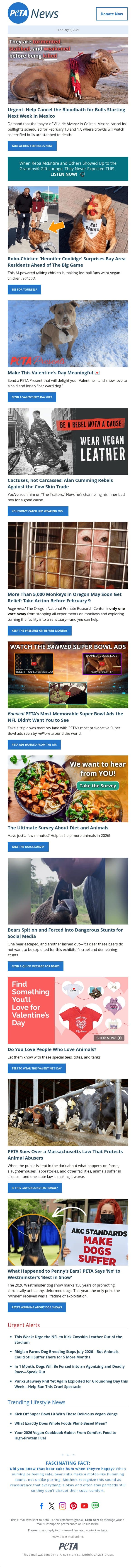 A Bull Stabbing Spectacle Is Only 4 Days Away. email from PETA screenshot