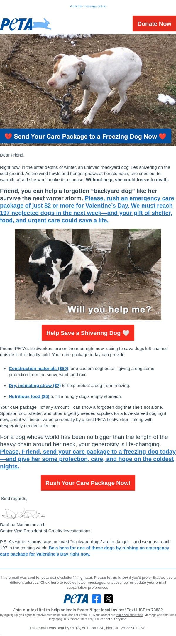 💔 An unloved dog is shivering outside tonight. Will you help her, Friend? email from PETA screenshot