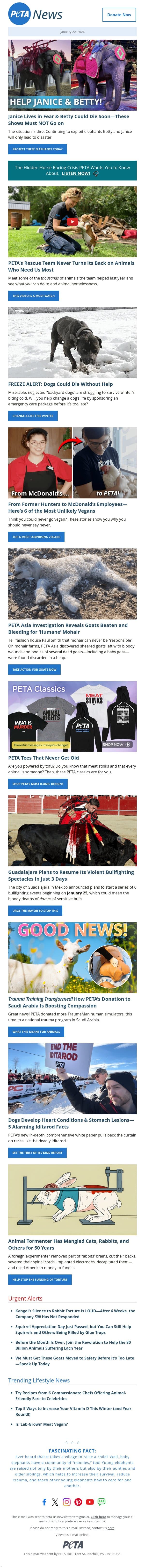Betty Could Die Soon. email from PETA screenshot