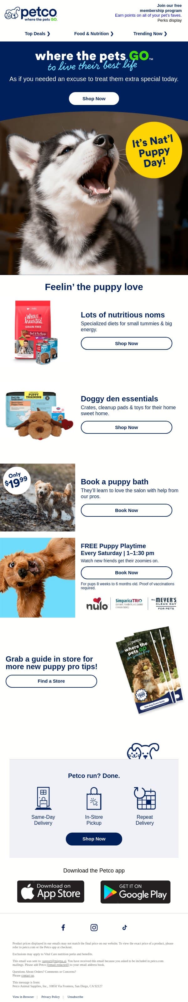 🐶 Feelin’ the puppy love 24/7 ➡ email from Petco screenshot