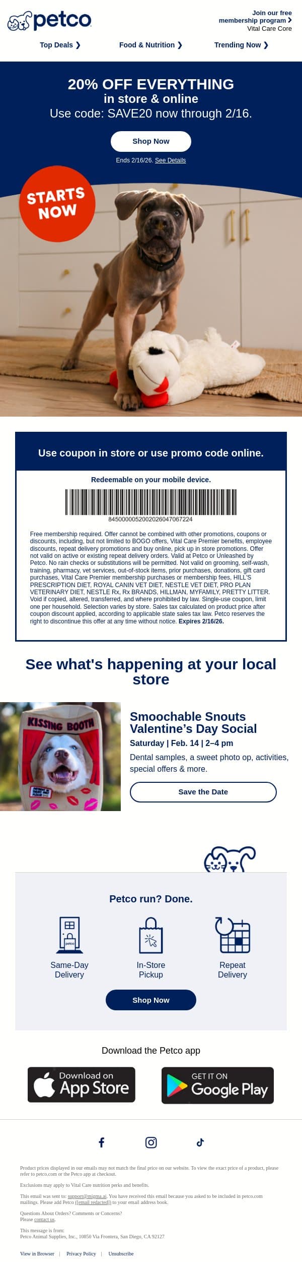 Executive order: 20% OFF e.v.e.r.y.t.h.i.n.g. email from Petco screenshot