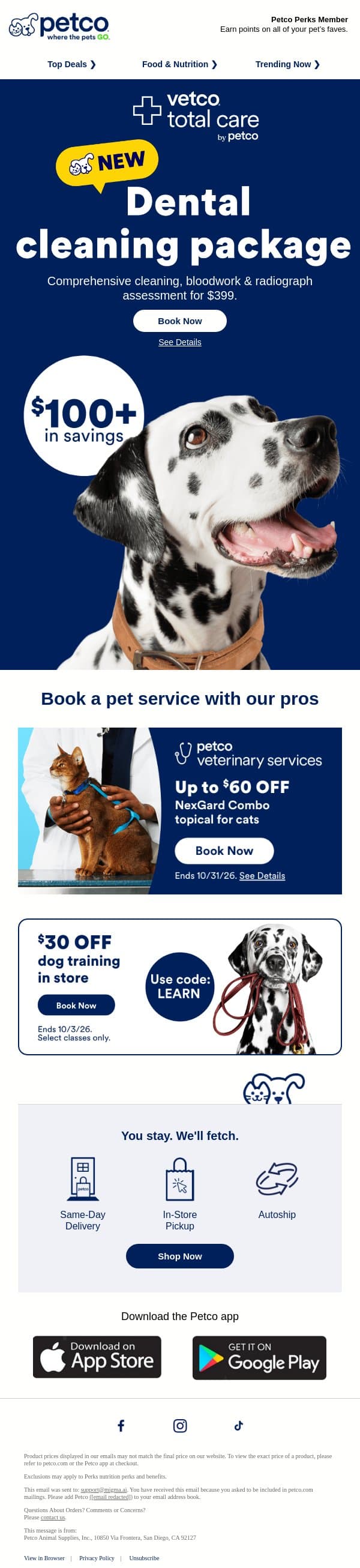 🦷 NEW: $399 dental cleaning package! email from Petco screenshot