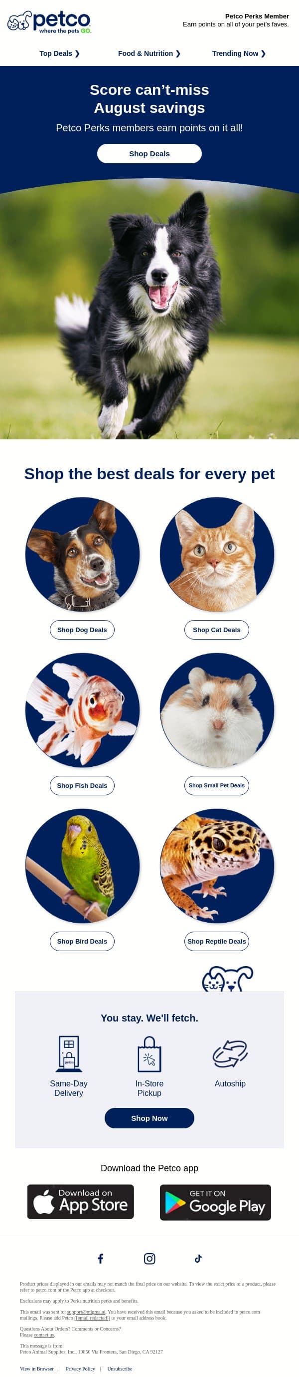 Don’t miss August’s best deals for your pet! email from Petco screenshot