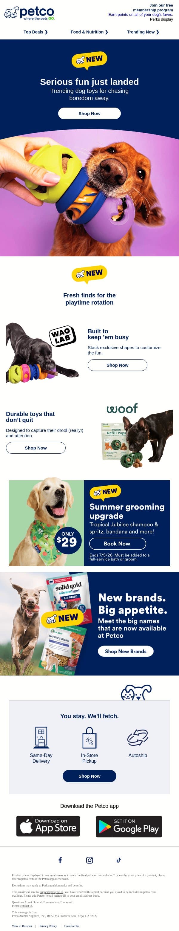JUST LANDED 🗣 New dog toys incoming! email from Petco screenshot