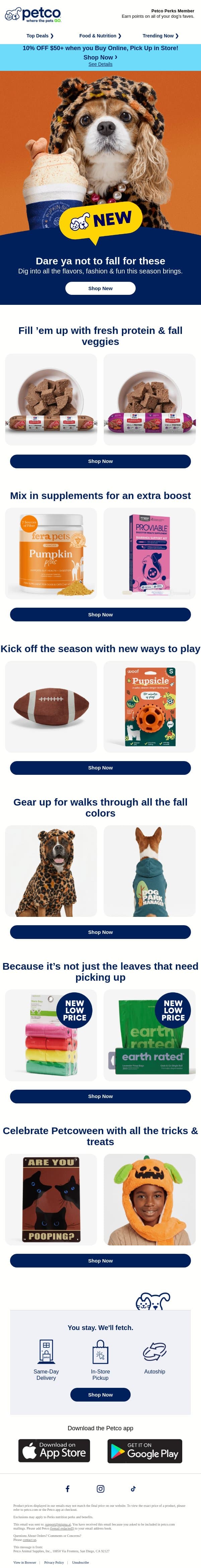 🍁 NEW! Your dog’s fall feels start here >>> email from Petco screenshot