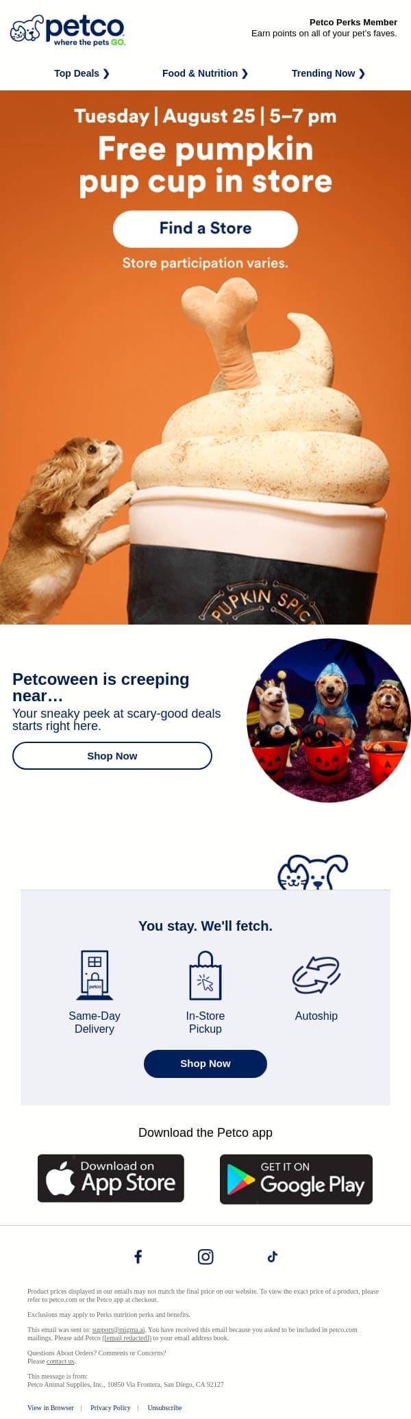 🎃 ☕ FREE pumpkin pup cup—TUES ONLY! email from Petco screenshot