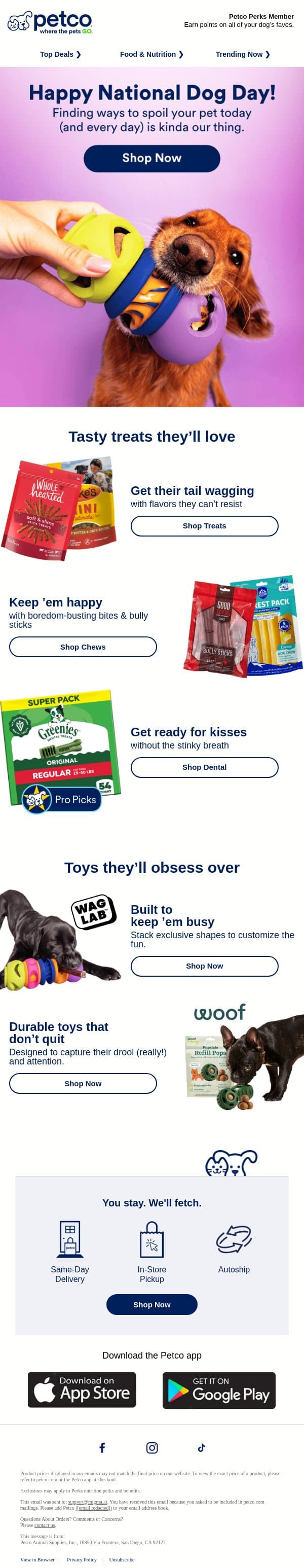 🐶 National Dog Day = time to spoil your dog!!! 🐶 email from Petco screenshot