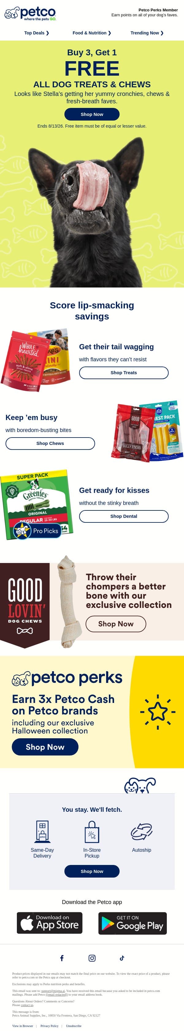 🤤 FREE dog treats…all for your pup's taking. email from Petco screenshot