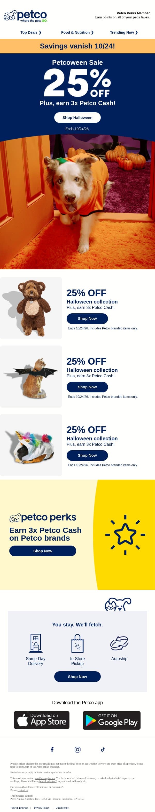 25% OFF Halloween 👻 DO NOT ghost this deal! email from Petco screenshot