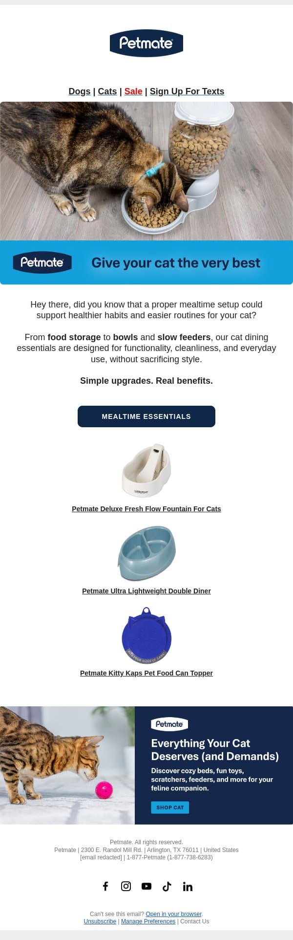 Upgrade the Mealtime Setup for Your Cat email from Petmate screenshot