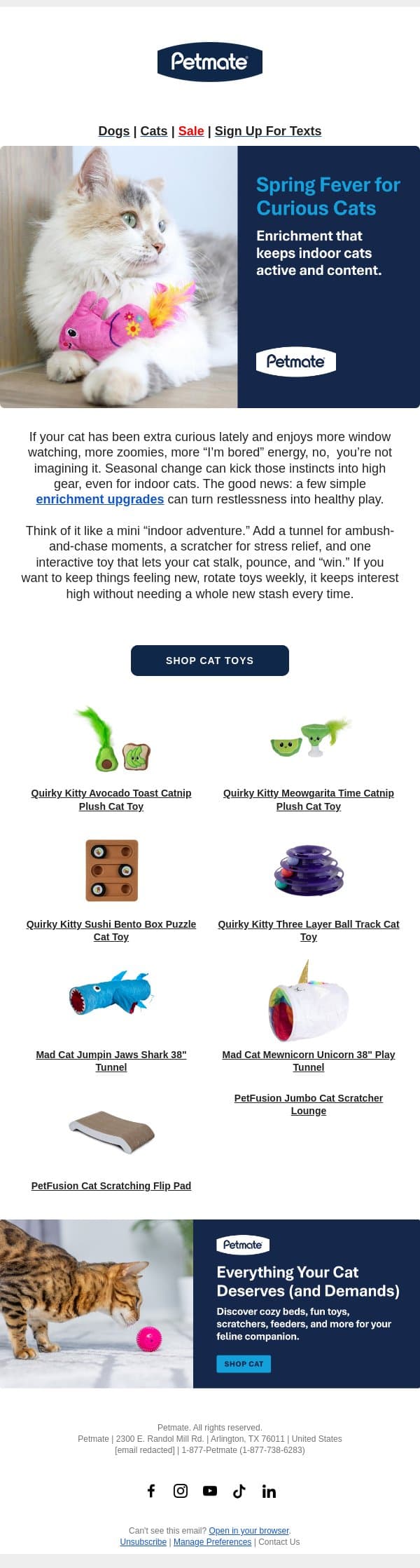 “Spring Fever” Is Real (Especially For Cats) email from Petmate screenshot